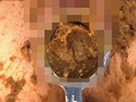 フェチの館 アナル糞女 草刈あも　サンプル画像05